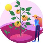 أرخص شركة مكافحة حشرات الأغذية في دبي