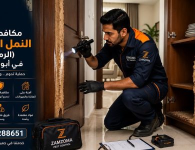 شركة مكافحة النمل الأبيض بأبوظبي