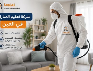 شركة تعقيم المنازل في العين