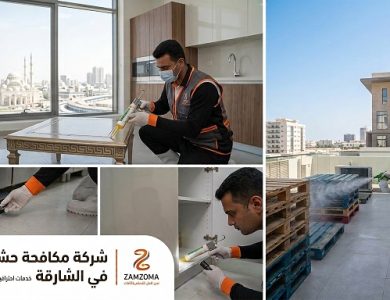 شركة مكافحة حشرات في الشارقة