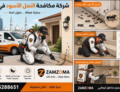 شركة مكافحة النمل الأسود بأبوظبي