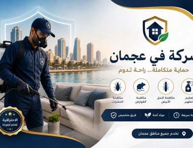 شركة في عجمان