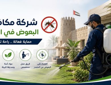 شركة مكافحة البعوض في العين