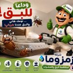 شركة مكافحة البق دبي