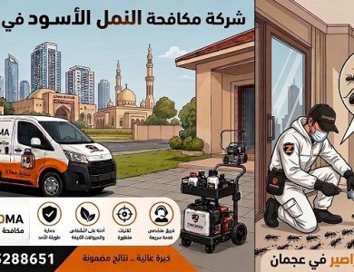 شركة مكافحة النمل الأسود في عجمان