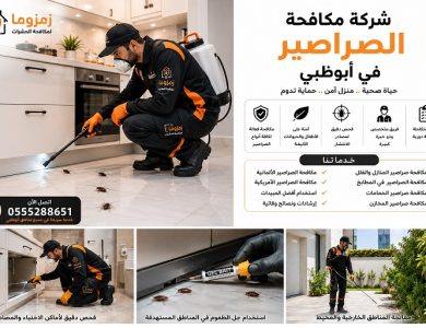 شركة مكافحة الصراصير في أبوظبي