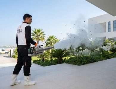 شركة مكافحة الحشرات الطائرة في عجمان