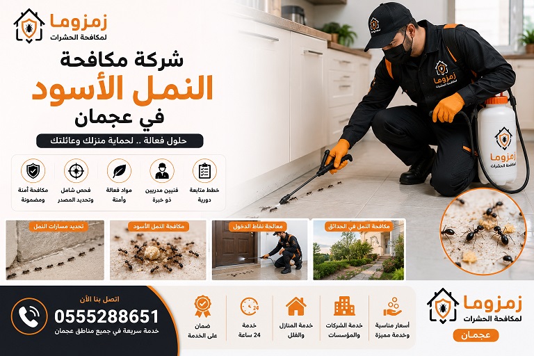 شركة مكافحة النمل الأسود في عجمان