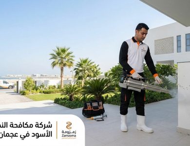 شركة مكافحة النمل الأسود في عجمان