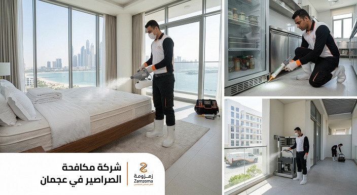 شركة مكافحة الصراصير في عجمان