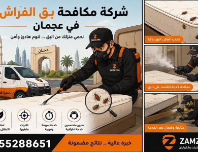 شركة مكافحة بق الفراش في عجمان