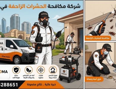 شركة مكافحة الحشرات الزاحفة في عجمان